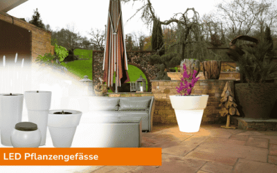 Frühlingsstart – Gartenfreunde aufgepasst! Zeit, den Garten auf Vordermann zu bringen